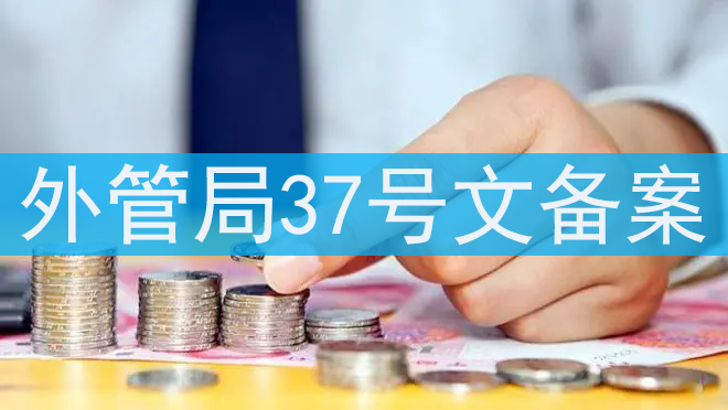 37號文登記流程 37號文登記流程