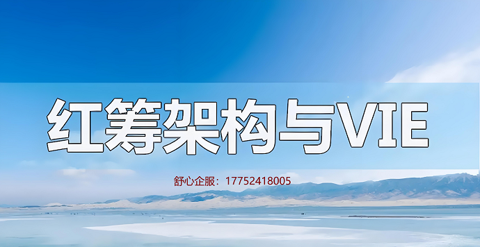 VIE架構搭建合規流程