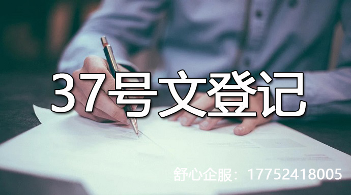 37號文登記流程